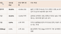 검색 엔진별 홍보전략 활용에 대한 검토